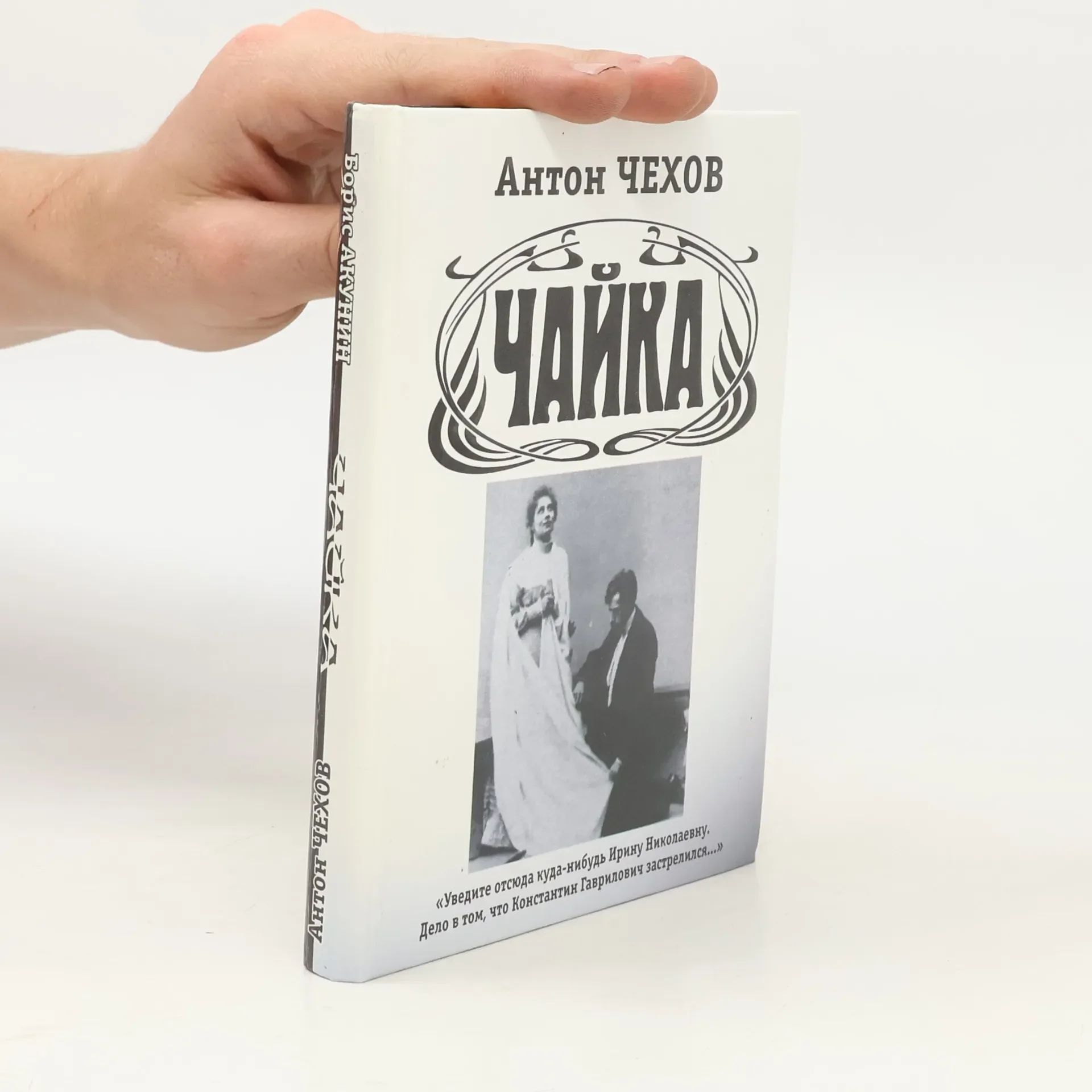 Обложка книги «Чайка»