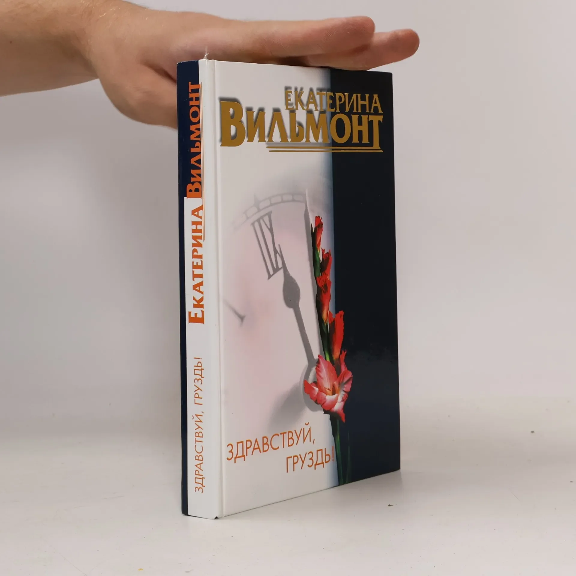 Обложка книги «Здравствуй, Груздь!»
