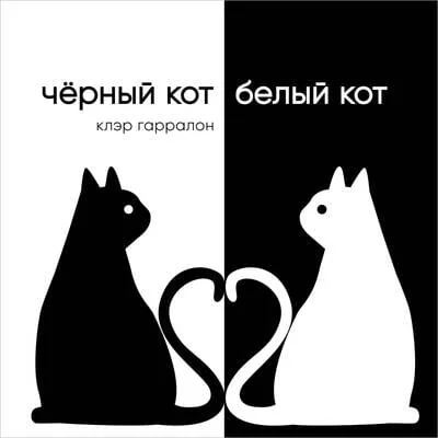 Обложка книги «Чёрный кот, белый кот»