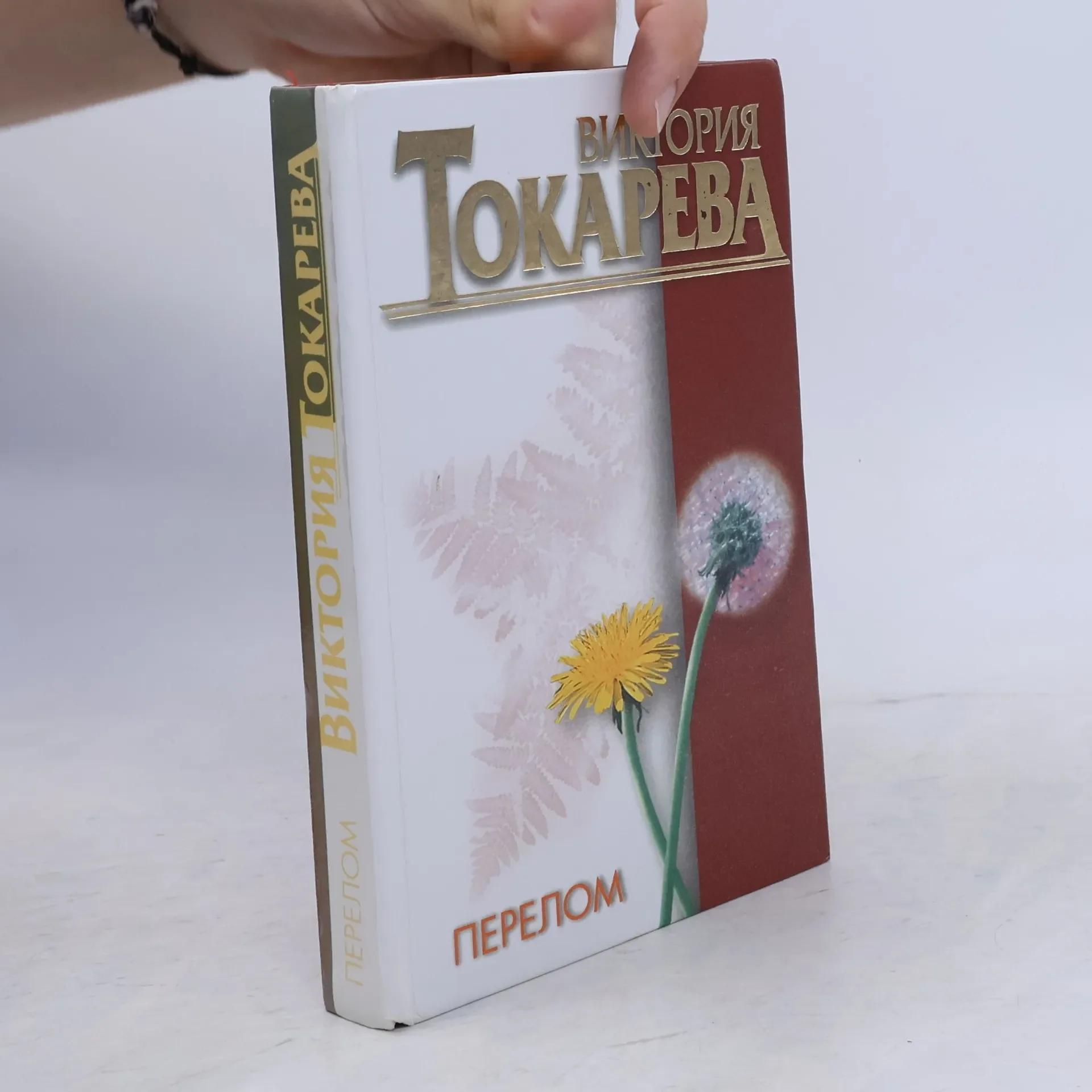 Обложка книги «Перелом»