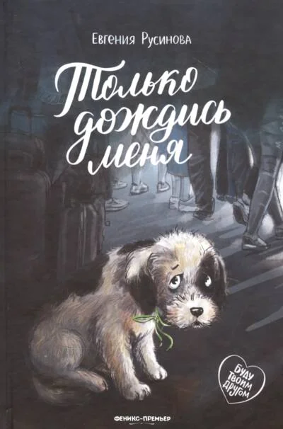 Обложка книги «Только дождись меня»
