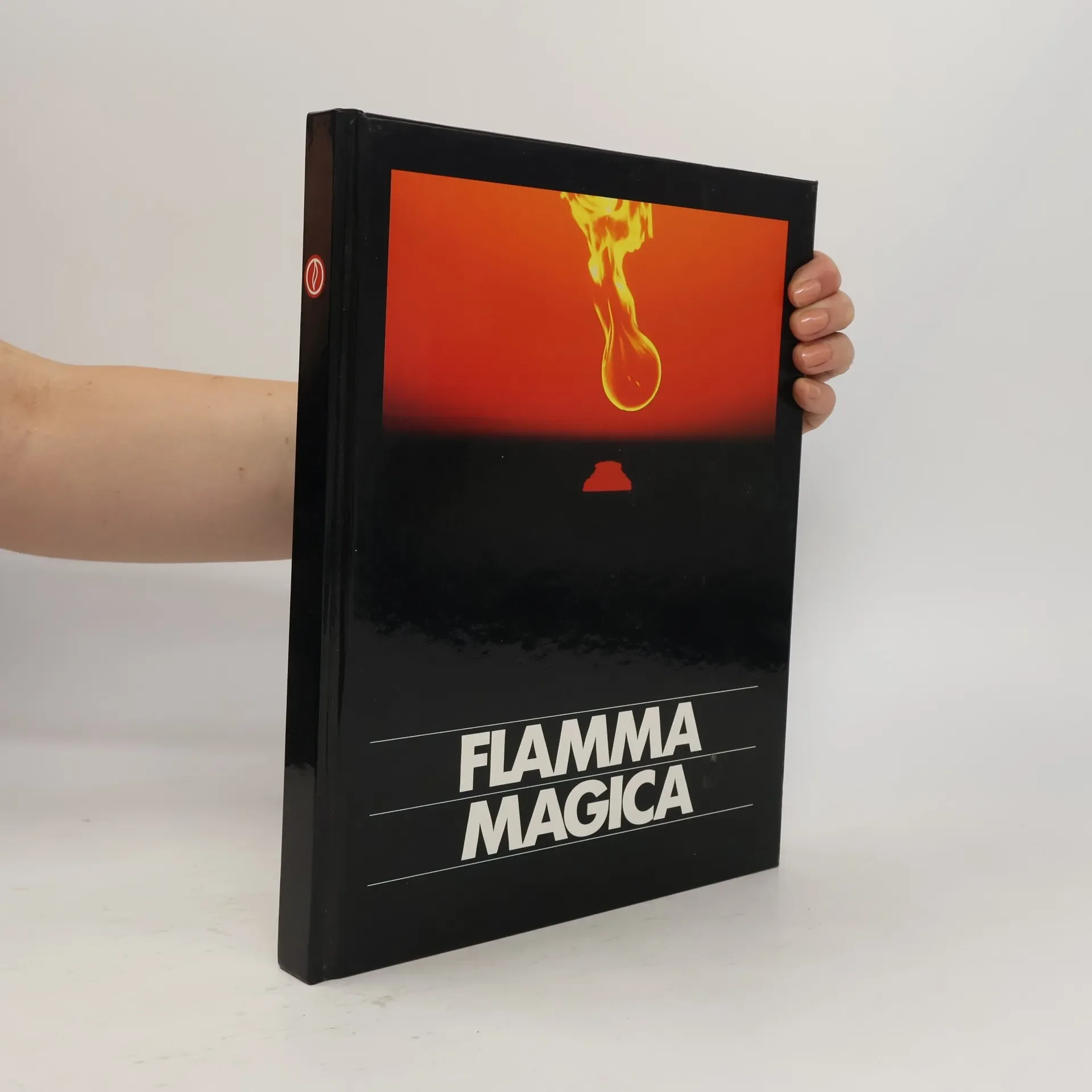 Обложка книги «Flamma magica»
