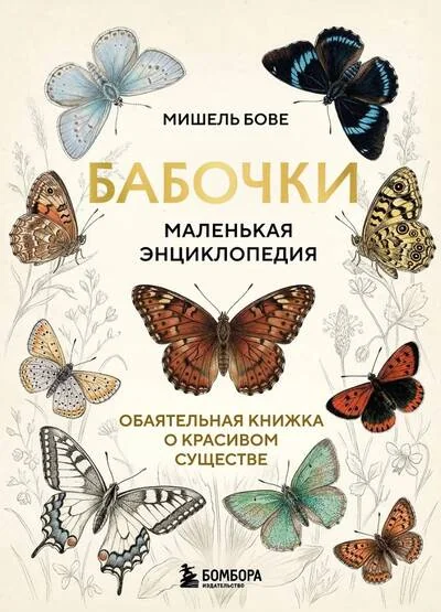 Обложка книги «Бабочки. Маленькая энциклопедия. Обаятельная книжка о красивом существе»
