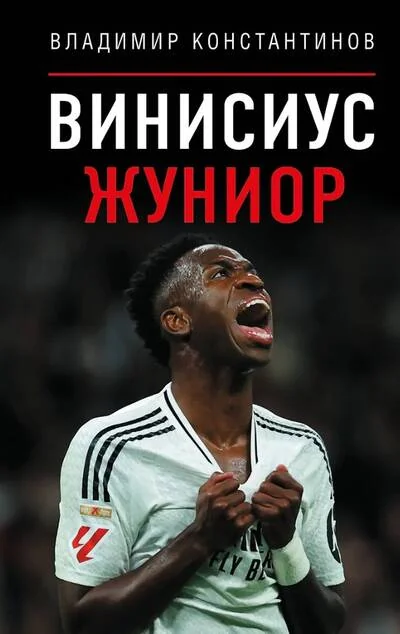 Обложка книги «Винисиус Жуниор»
