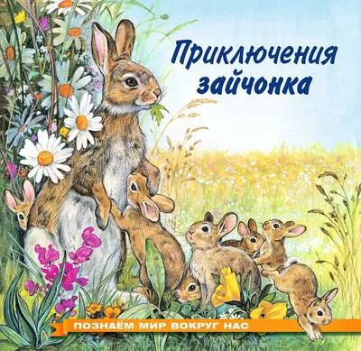 Обложка книги «Познаем мир вокруг нас. Приключения зайчонка»