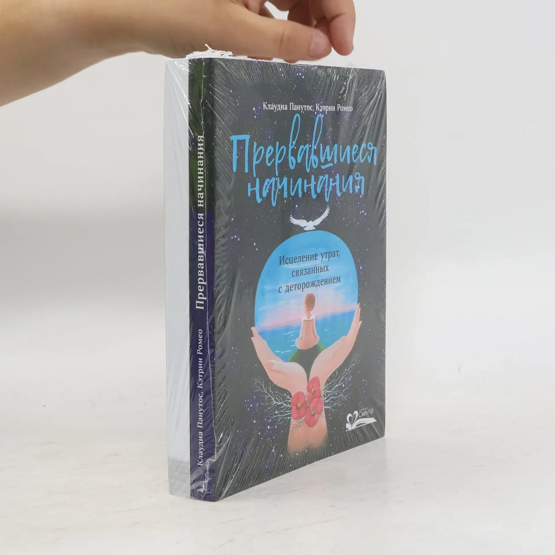 Обложка книги «Прервавшиеся начинания»