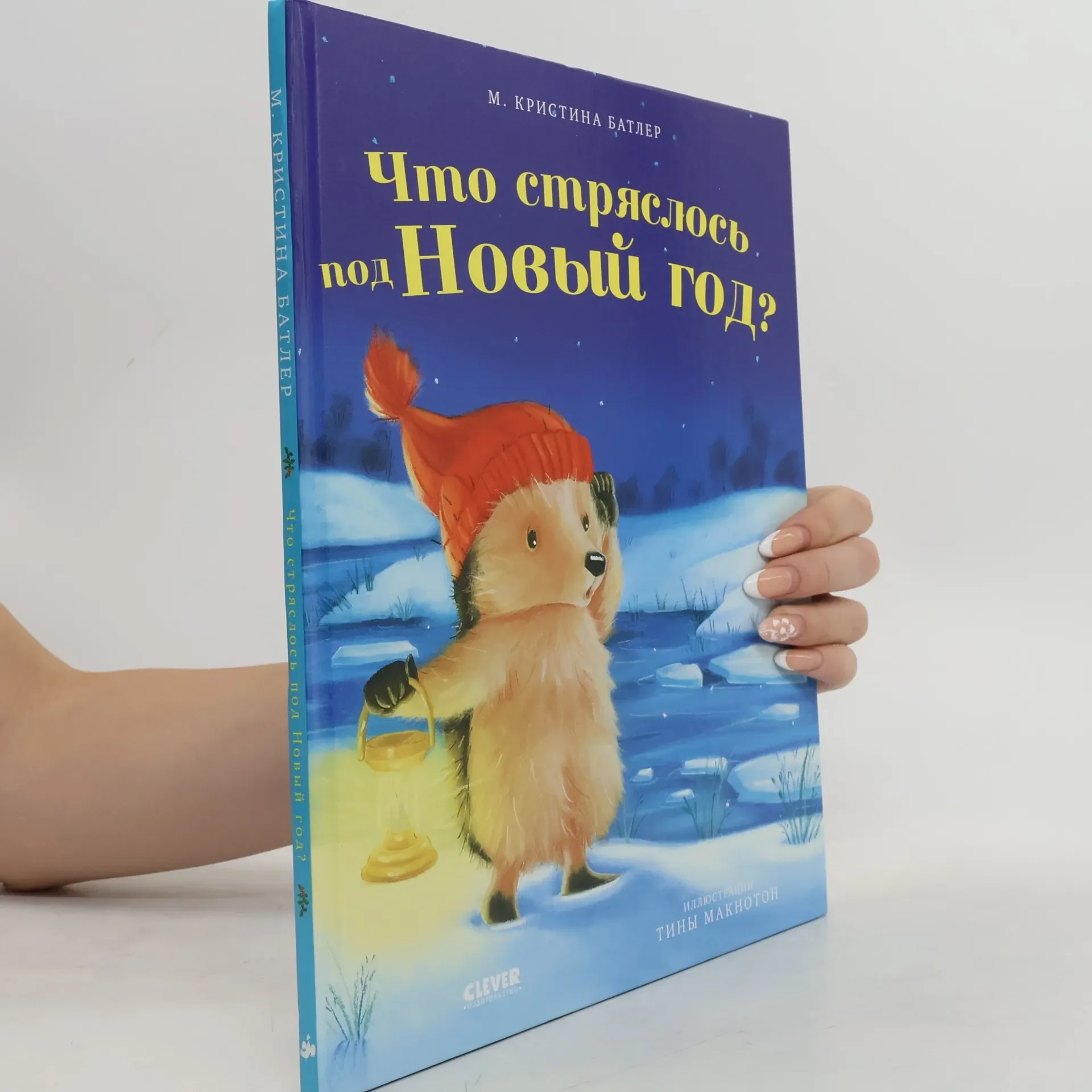 Обложка книги «Что стряслось под Новый год?»