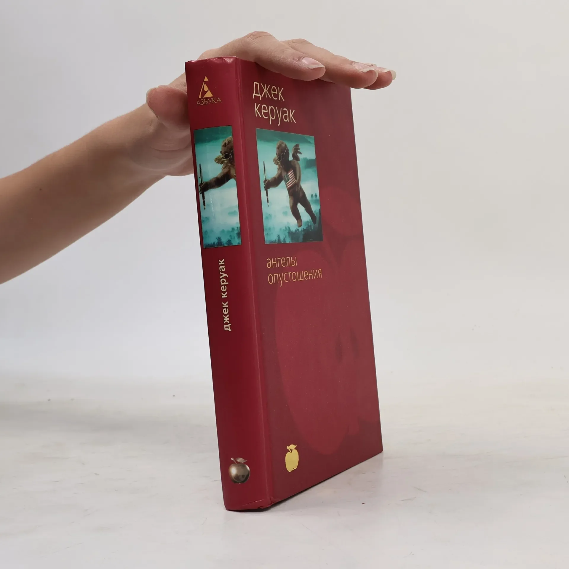 Обложка книги «АНГЕЛЫ ОПУСТОШЕНИЯ б/у»