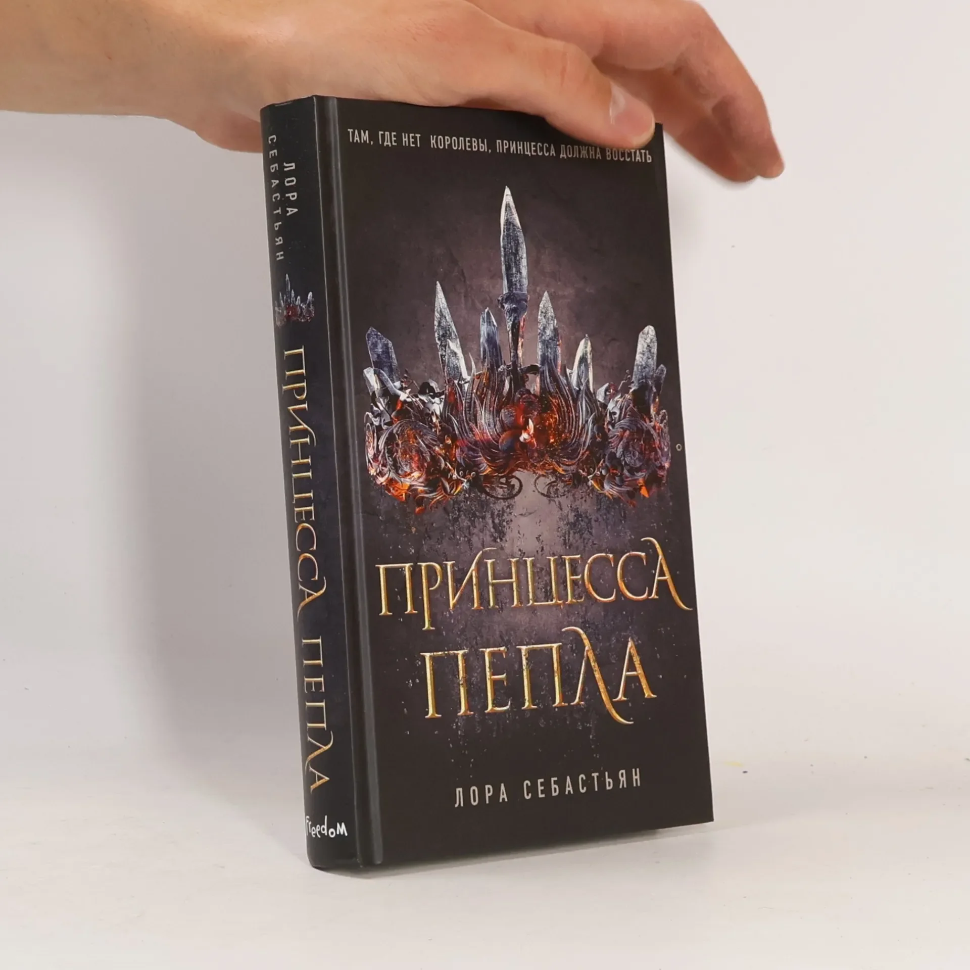 Обложка книги «Принцесса пепла»