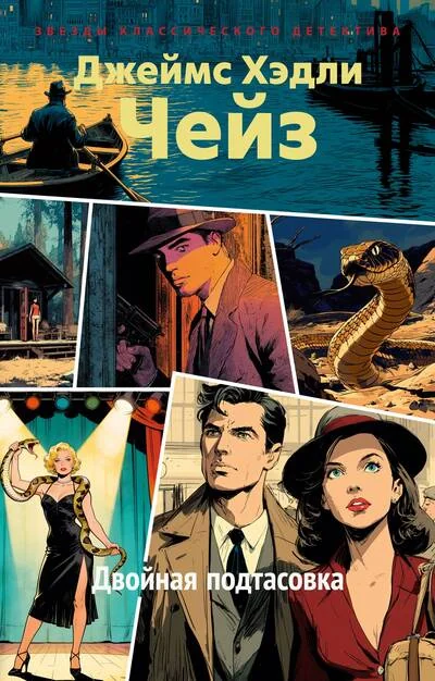 Обложка книги «Двойная подтасовка»