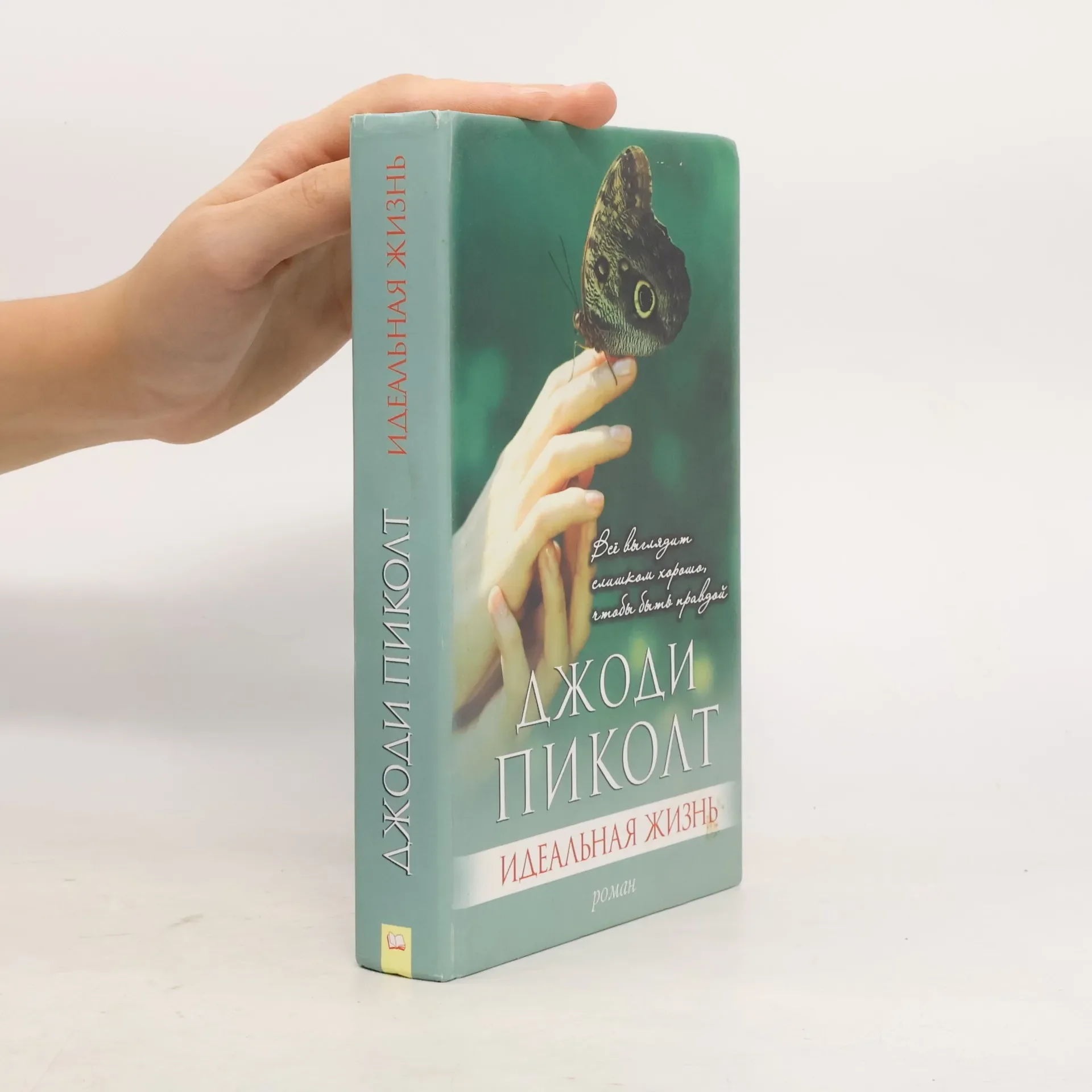Обложка книги «Идеальная жизнь»