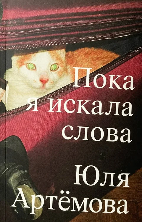 Обложка книги «Пока я искала слова»
