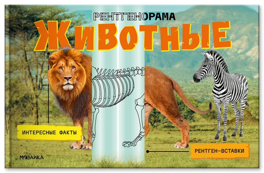 Обложка книги «Животные. Рентгенорама, книга с подвижными элементами»