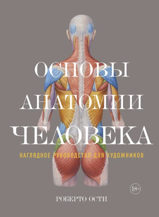 Обложка книги «Основы анатомии человека. Наглядное руководство для художников»
