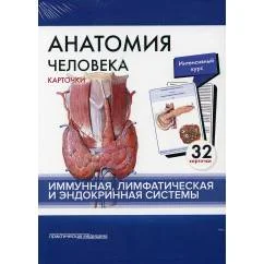 Обложка книги «Анатомия человека карточки. (32 шт). Иммунная, лимфатическая и эндокринная системы»