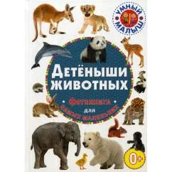 Обложка книги «Детеныши животных. Фотокнига для самых маленьки»