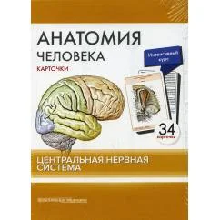Обложка книги «Анатомия человека карточки. (34 шт). Центральная нервная система»