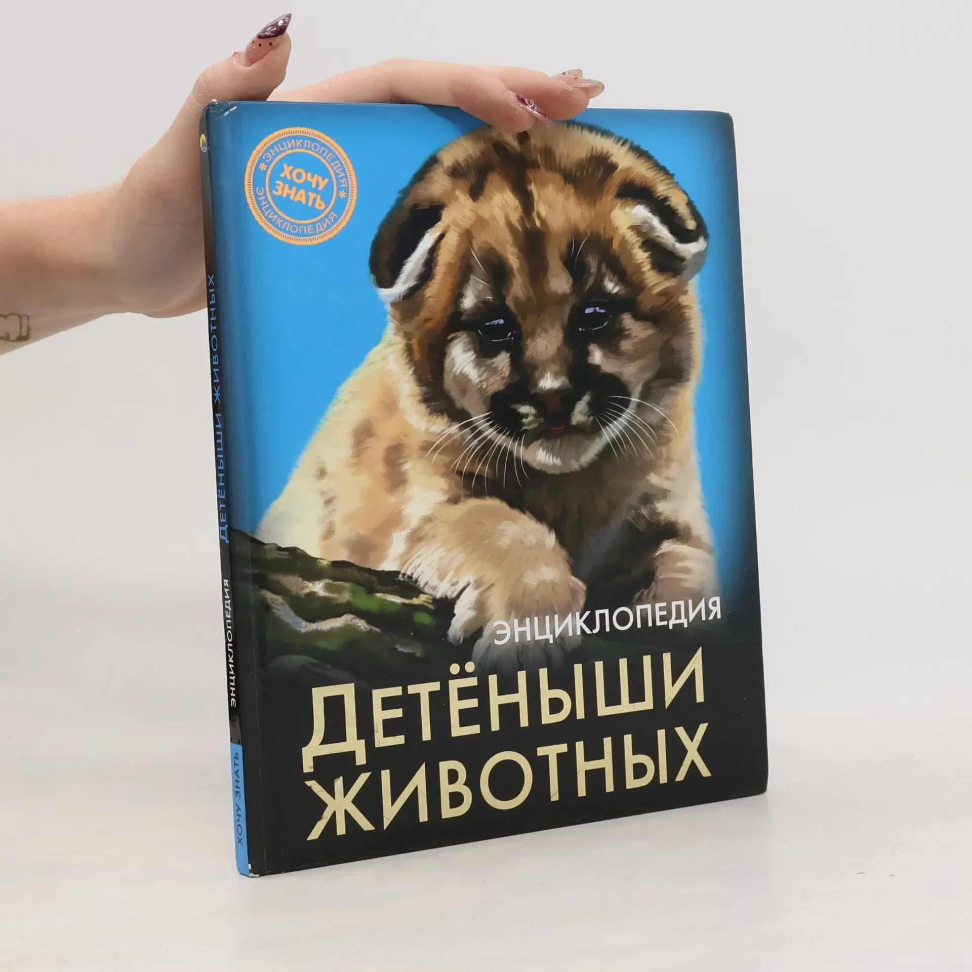 Обложка книги «Детёныши животных»