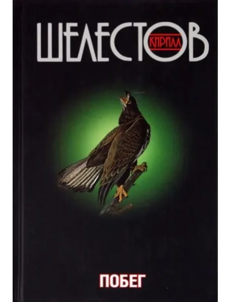 Обложка книги «Побег»