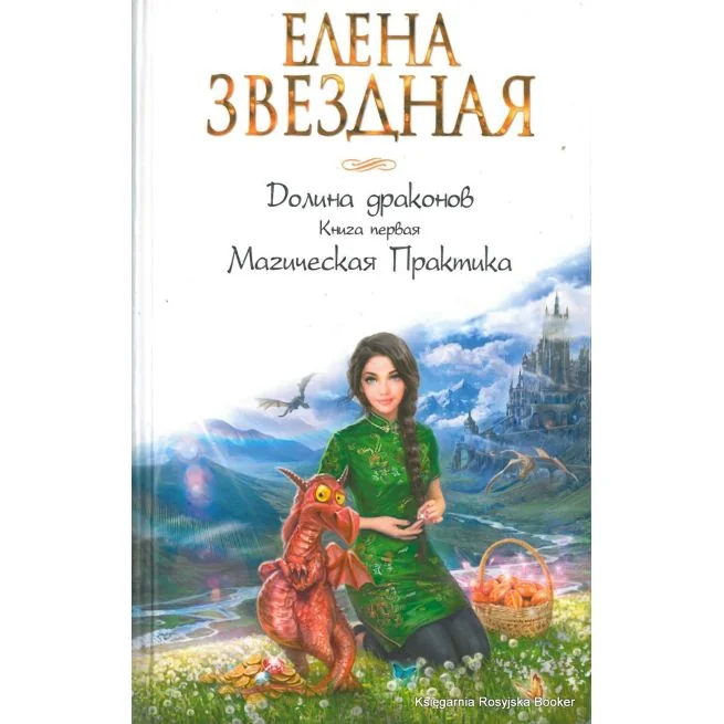 Обложка книги «Долина драконов. Книга первая. Магическая Практика»