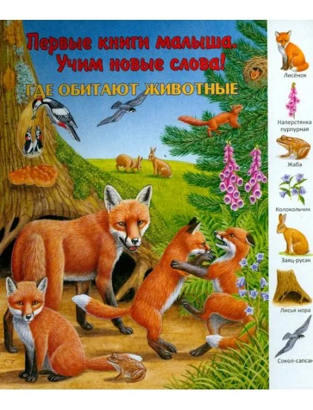 Обложка книги «Где обитают животные? Виммельбух»