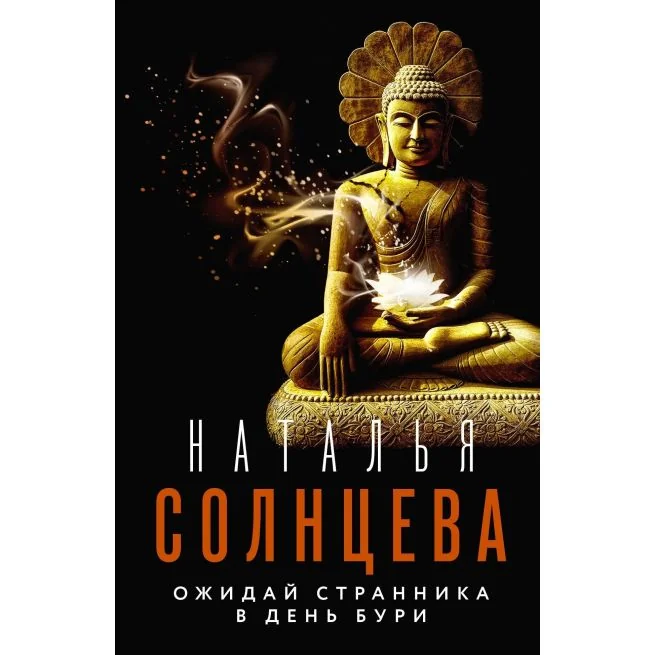Обложка книги «МИНИ: Ожидай странника в день бури»