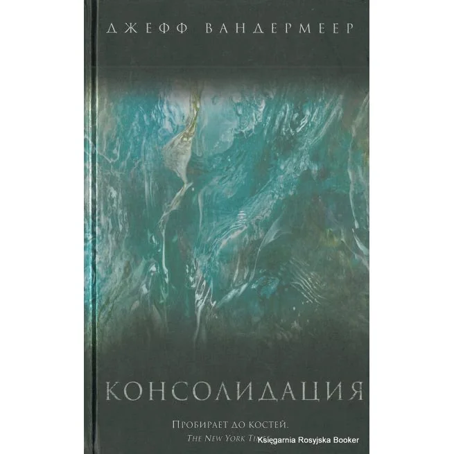 Обложка книги «Консолидация»