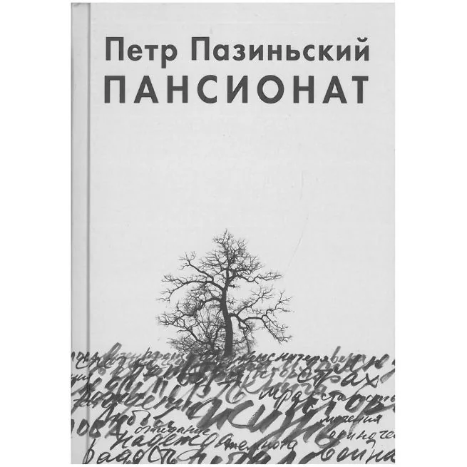 Обложка книги «Пансионат. Петр Пазиньский»