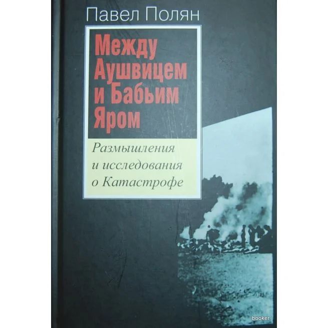 Обложка книги «Между Аушвицем и Бабьим Яром. Размышления и исследования о Катастрофе»