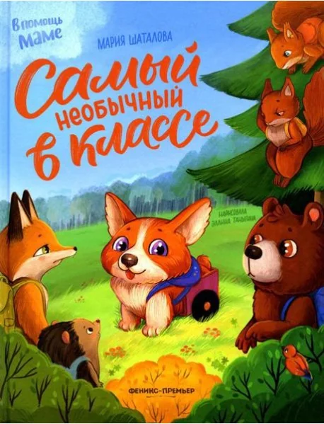 Обложка книги «Самый необычный в классе»