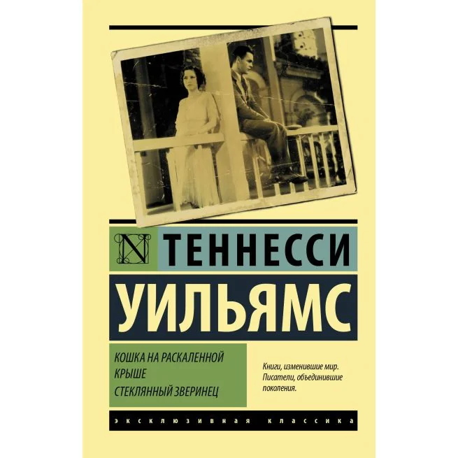Обложка книги «Кошка на раскаленной крыше»