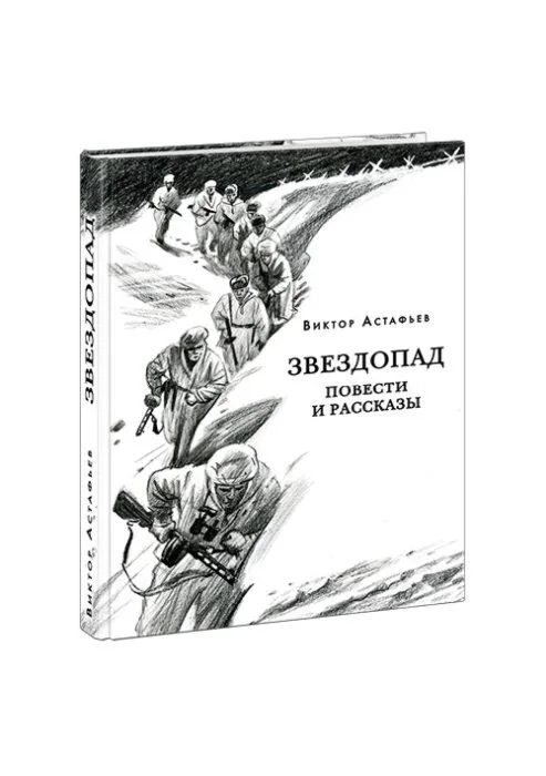 Обложка книги «Звездопад»