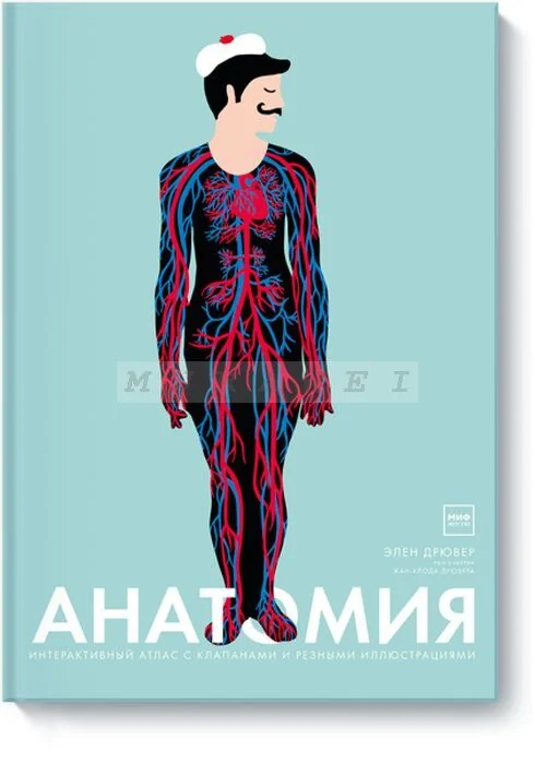 Обложка книги «Анатомия»