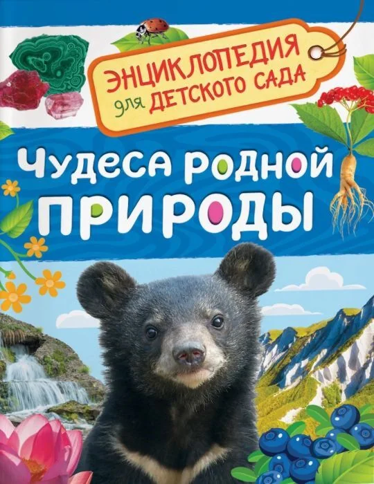Обложка книги «Чудеса родной природы. Энциклопедия для детского сада»