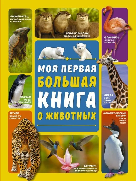 Обложка книги «Моя первая большая книга о животных»