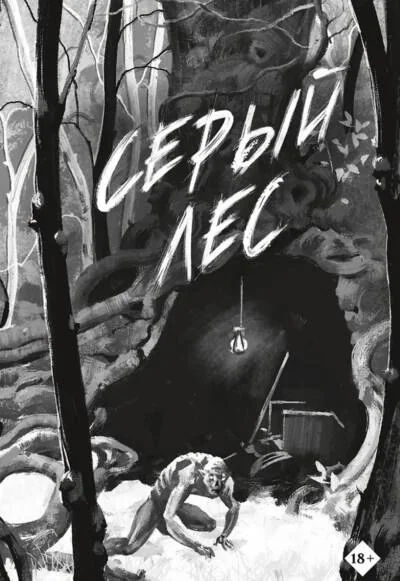 Обложка книги «Серый лес»