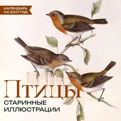 Обложка книги «Птицы. Старинные иллюстрации. Календарь на 2027 год»