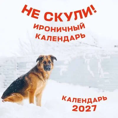 Обложка книги «Не скули. Ироничный календарь настенный на 2027 год»