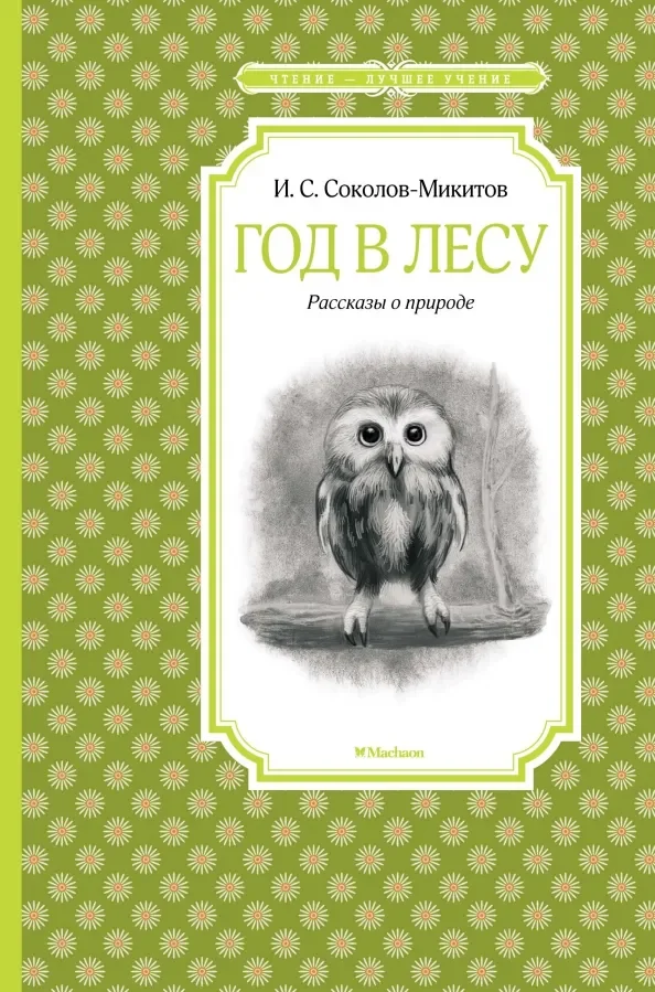 Обложка книги «Год в лесу»