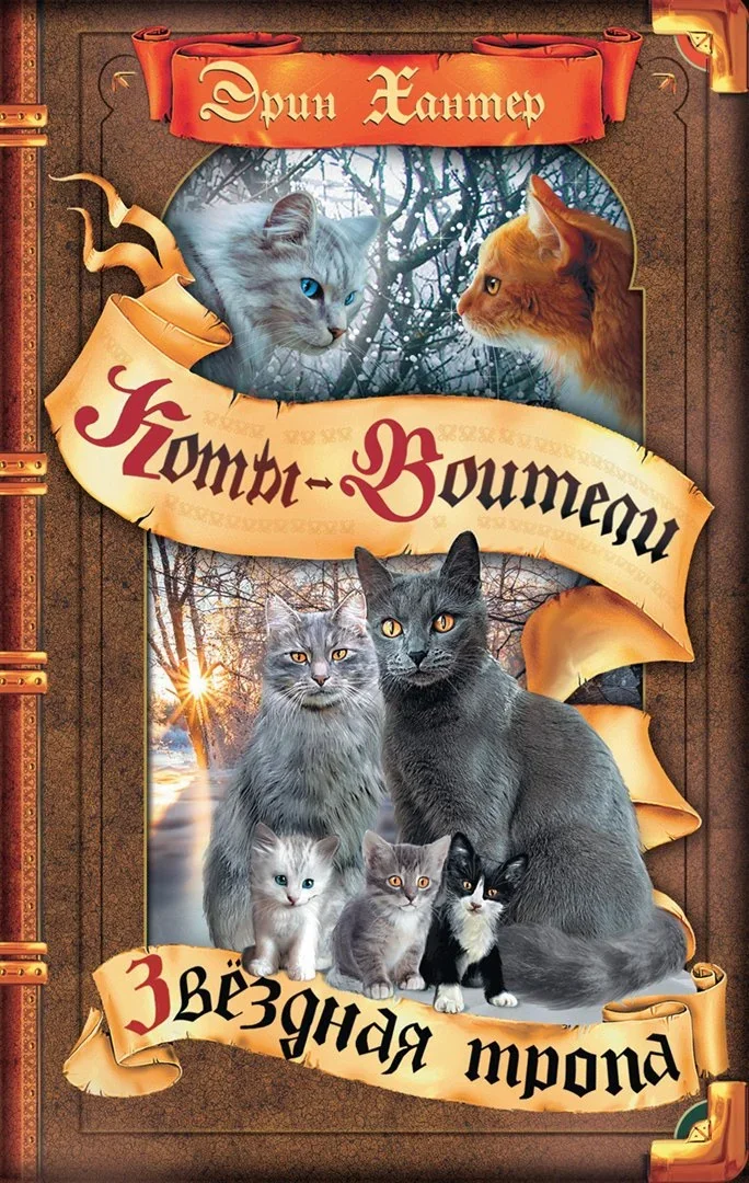 Обложка книги «Звёздная тропа»