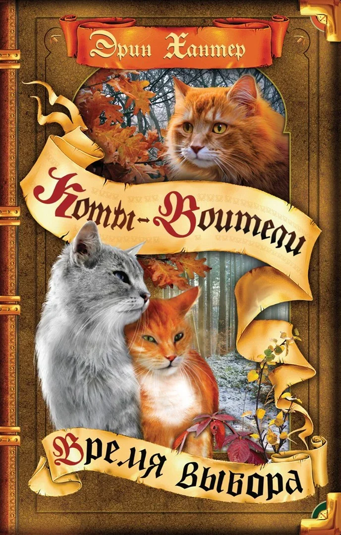Обложка книги «Коты-воители. Цикл Начало племен. Время выбора»
