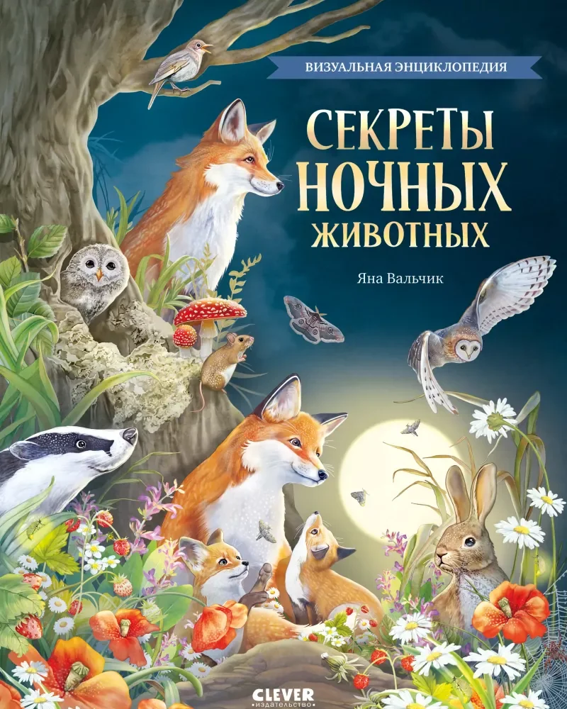 Обложка книги «Секреты ночных животных. Визуальная энциклопедия»