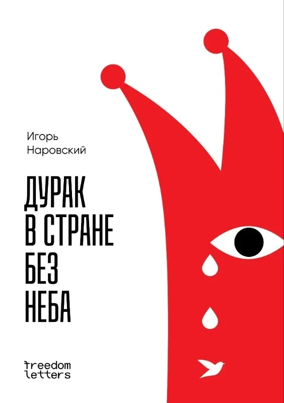 Обложка книги «Дурак в стране без неба»