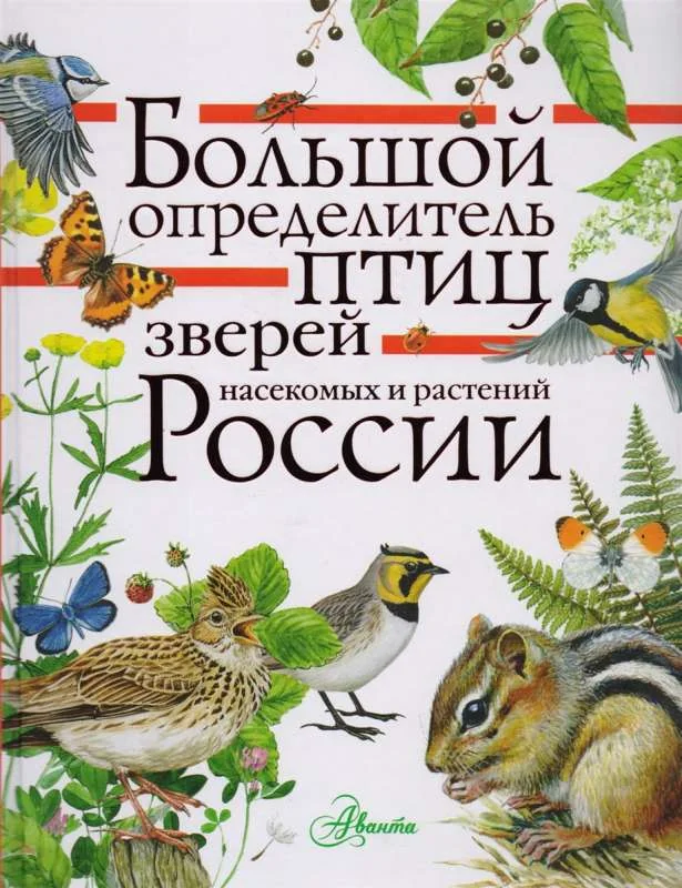 Обложка книги «Большой определитель зверей, амфибий, рептилий, птиц, насекомых и растений России»