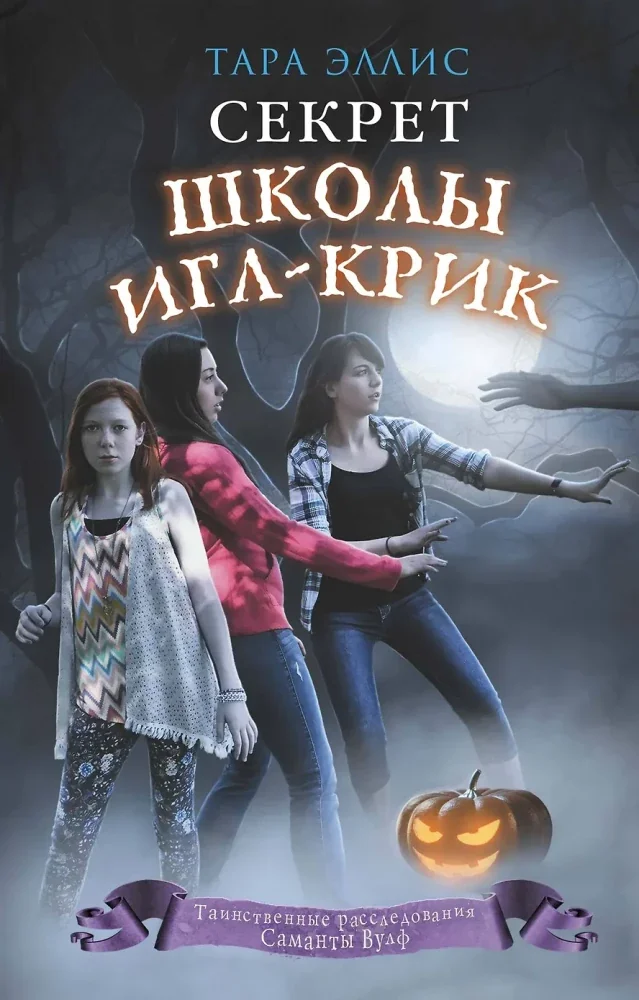 Обложка книги «Секрет школы Игл-Крик»