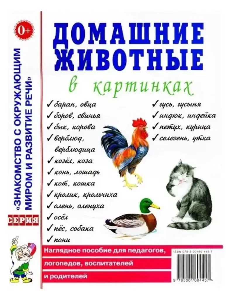 Обложка книги «Домашние животные в картинках»