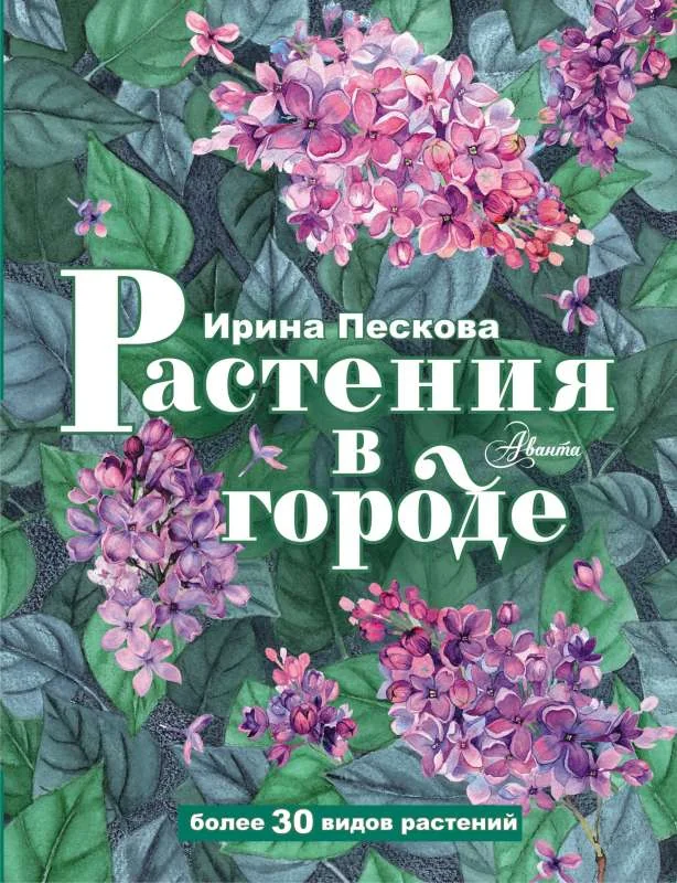 Обложка книги «Растения в городе»