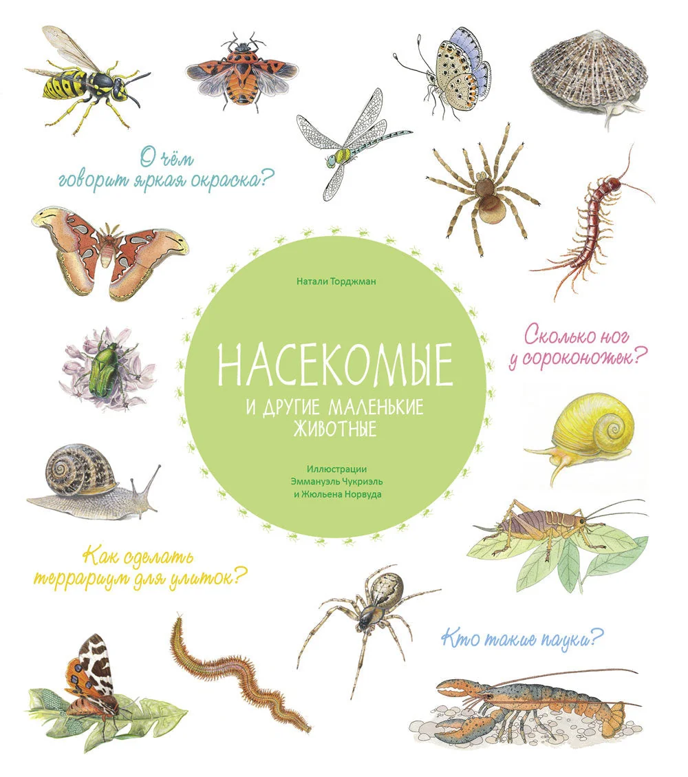 Обложка книги «Насекомые и другие маленькие животные»
