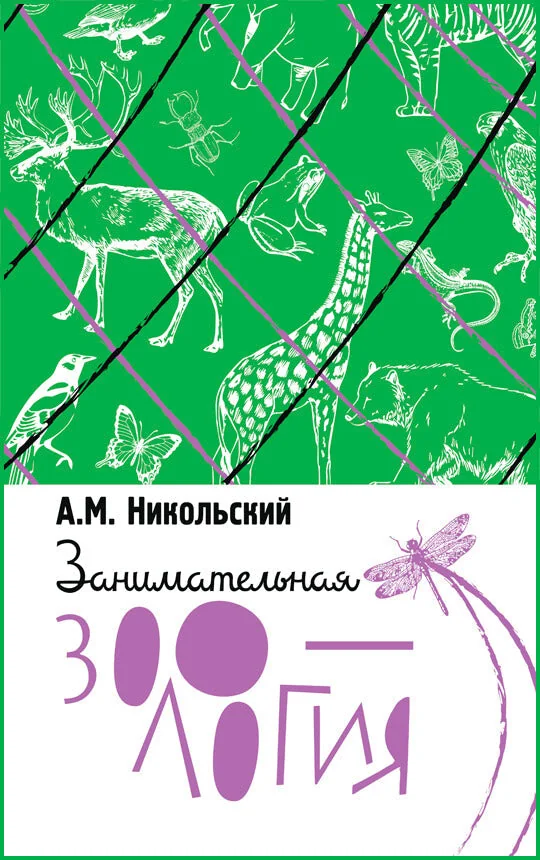Обложка книги «Занимательная зоология»