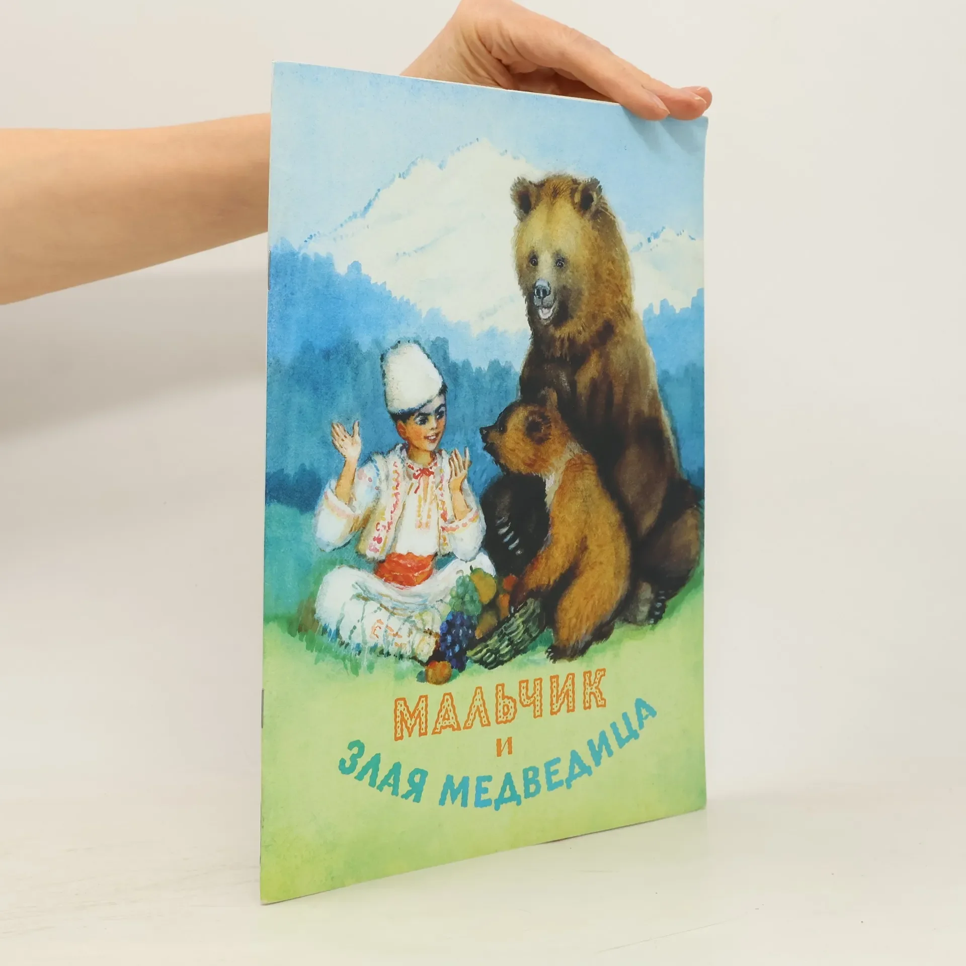 Обложка книги «Мальчик и злая медведица»